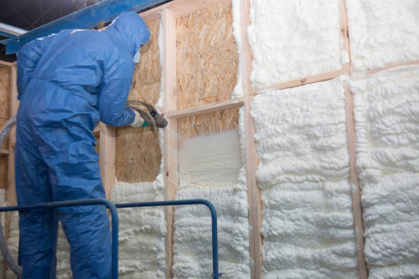 Best Thermal Imaging for Insulation Gaps  in Greendale, IN